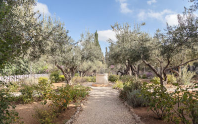 #4_Garden of Gethsemane_0319