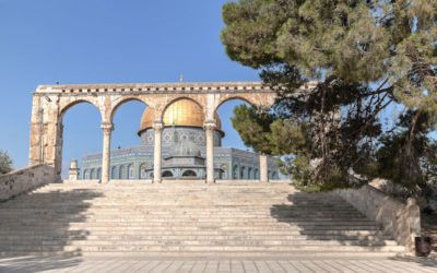 #7_Dome of the Rock#2_0520